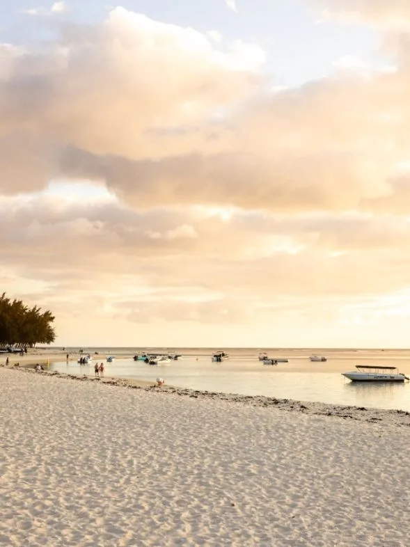 Sea, Sand, Sun